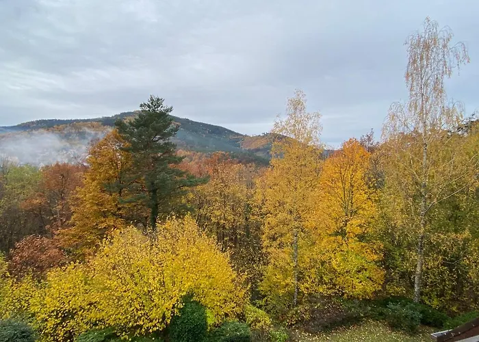 Gite Au Nid De L\'Ecureuil