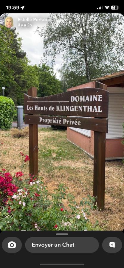 Apartment Au Nid De L'ecureuil *